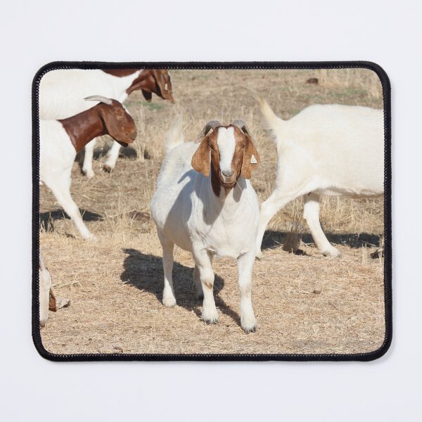 Item preview, Goats in a Field designed and sold by myequineartwork.