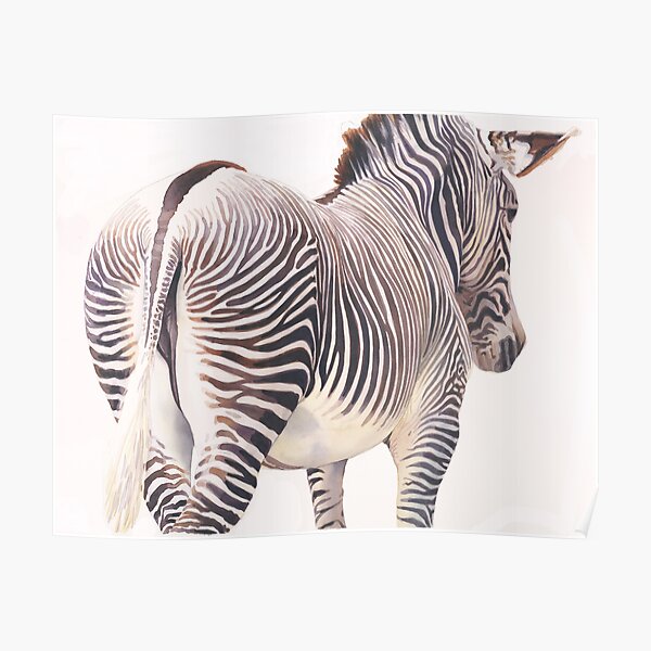 "Wrong Way" Zebra Wildlife Watercolor Poster