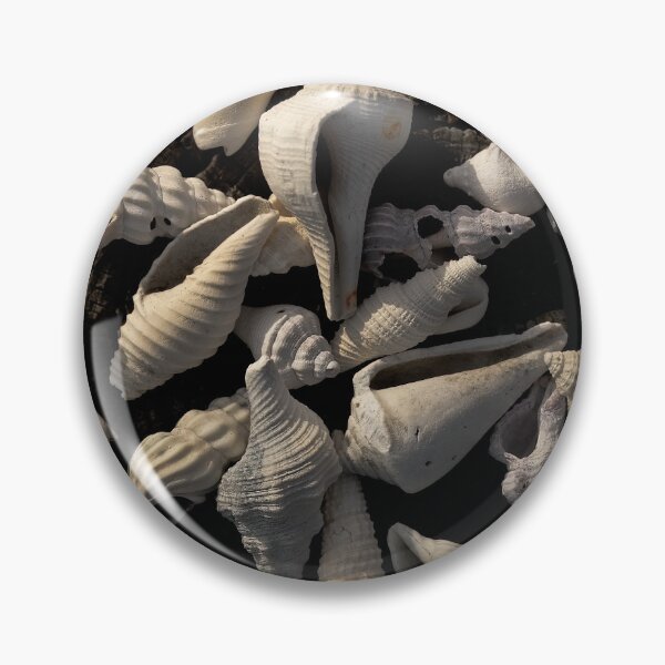 Item preview, Seashells designed and sold by Jeffrey Mask.