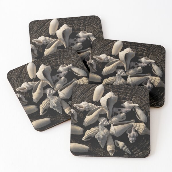 Item preview, Seashells designed and sold by Jeffrey Mask.