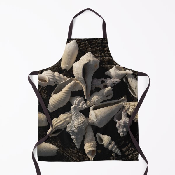 Item preview, Seashells designed and sold by Jeffrey Mask.