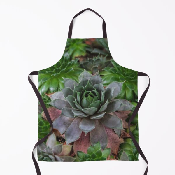 Item preview, Echeveria designed and sold by heatherfriedman.