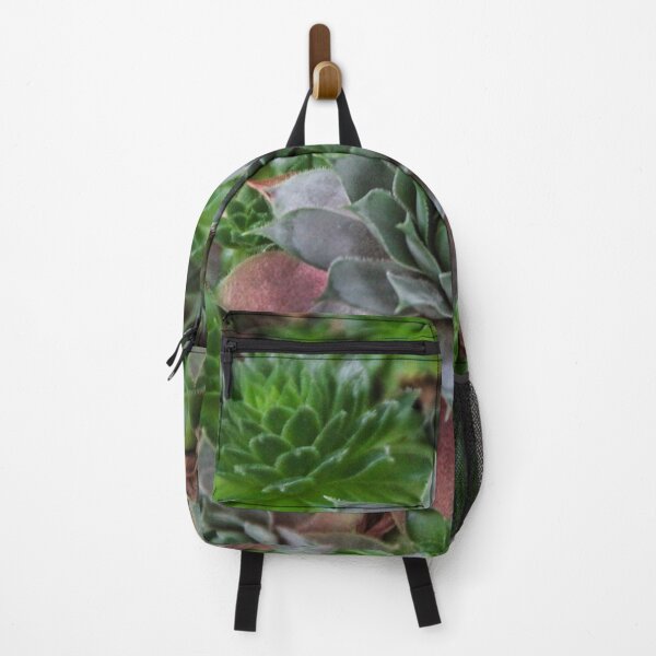 Item preview, Echeveria designed and sold by heatherfriedman.