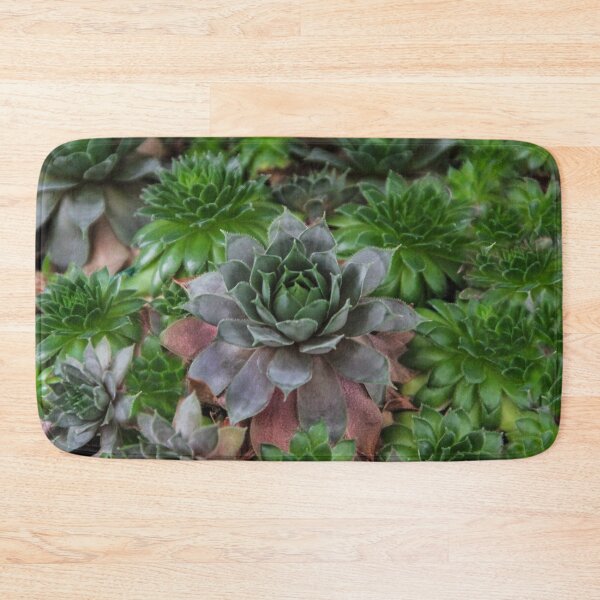 Item preview, Echeveria designed and sold by heatherfriedman.