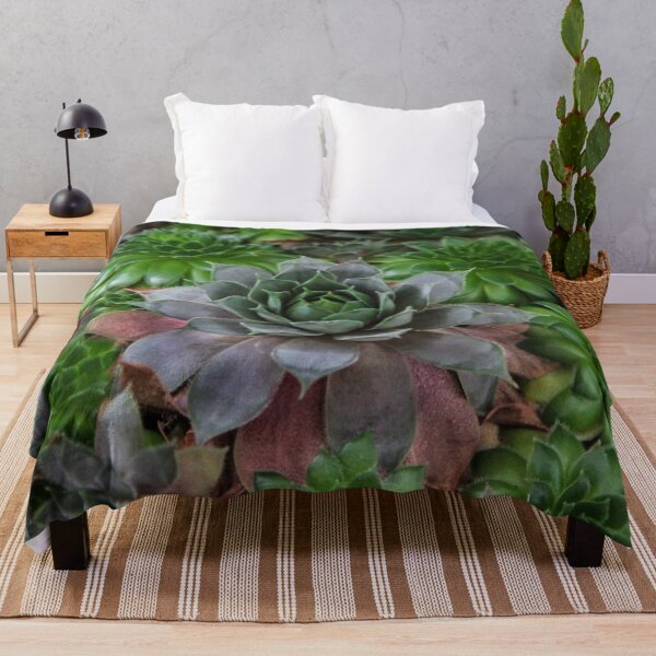 Item preview, Echeveria designed and sold by heatherfriedman.