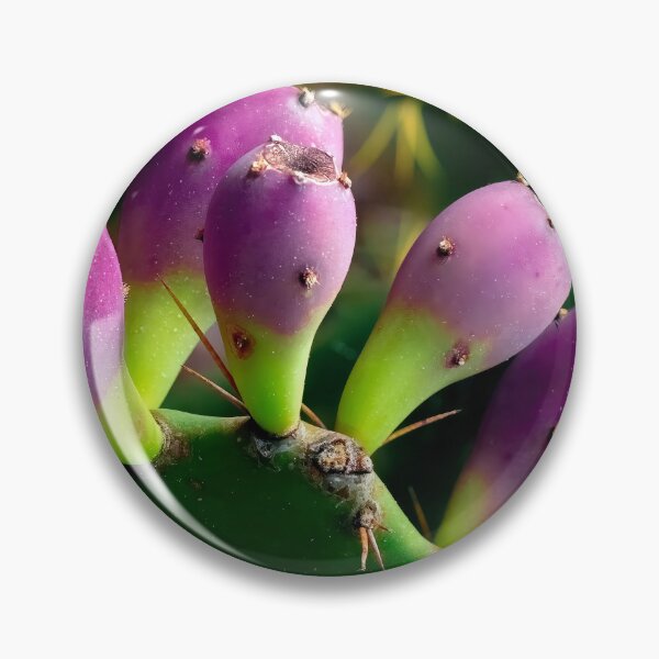 Item preview, Cactus Fruit designed and sold by Jeffrey Mask.