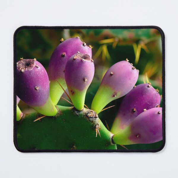 Item preview, Cactus Fruit designed and sold by Jeffrey Mask.