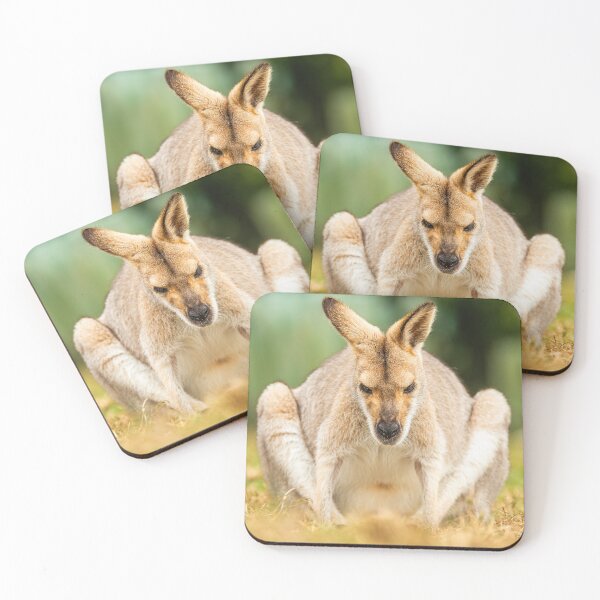 Item preview, Red-necked Wallaby designed and sold by robdanimalphotography.