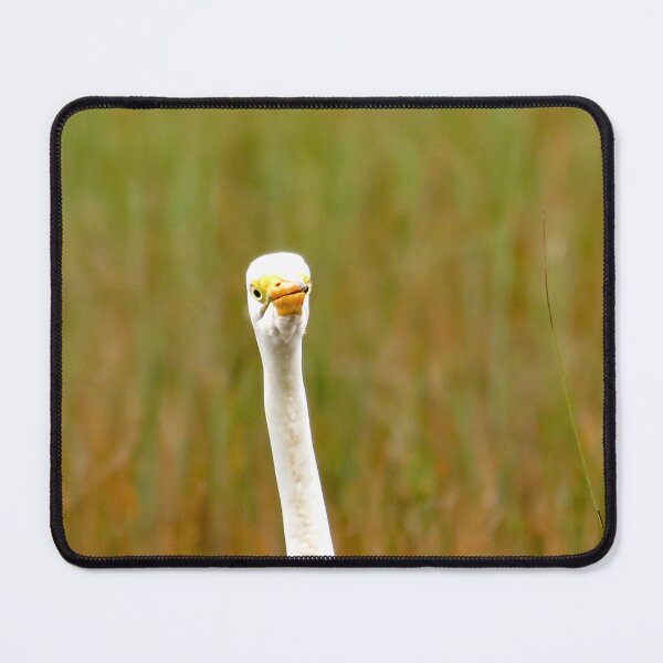 Item preview, Great Egret designed and sold by supernova23.