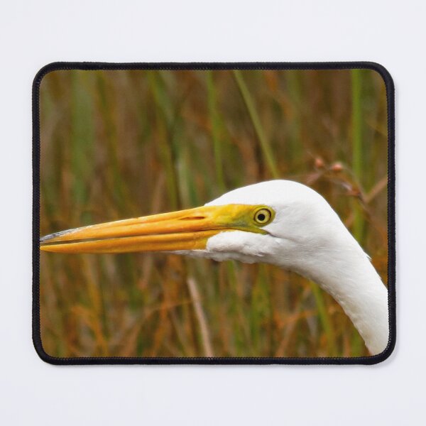 Item preview, Great Egret designed and sold by supernova23.
