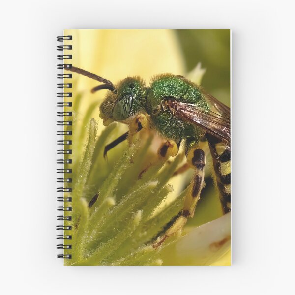 Item preview, Buzzy Green Bee designed and sold by Jeffrey Mask.