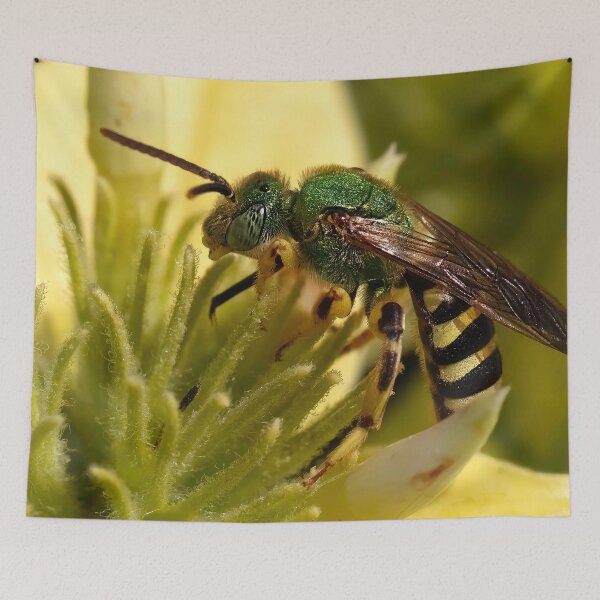 Item preview, Buzzy Green Bee designed and sold by Jeffrey Mask.