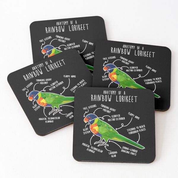 Item preview, Rainbow Lorikeet Parrot Anatomy designed and sold by Clara Hollins.