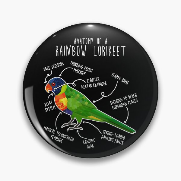 Item preview, Rainbow Lorikeet Parrot Anatomy designed and sold by Clara Hollins.
