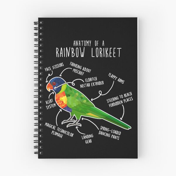 Item preview, Rainbow Lorikeet Parrot Anatomy designed and sold by Clara Hollins.