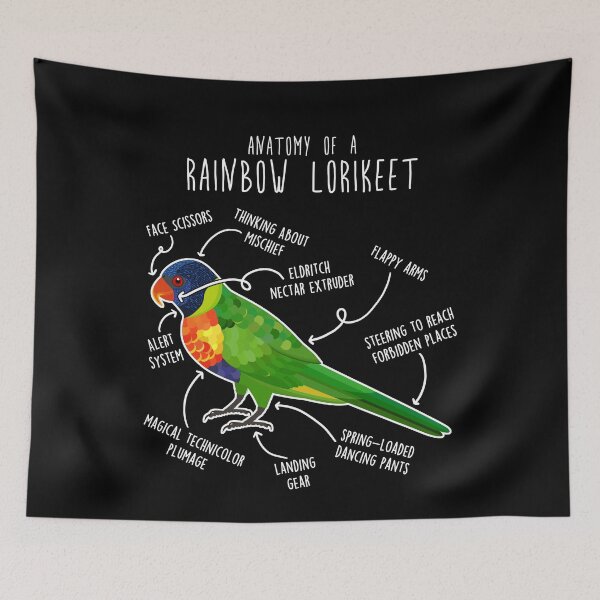 Item preview, Rainbow Lorikeet Parrot Anatomy designed and sold by Clara Hollins.