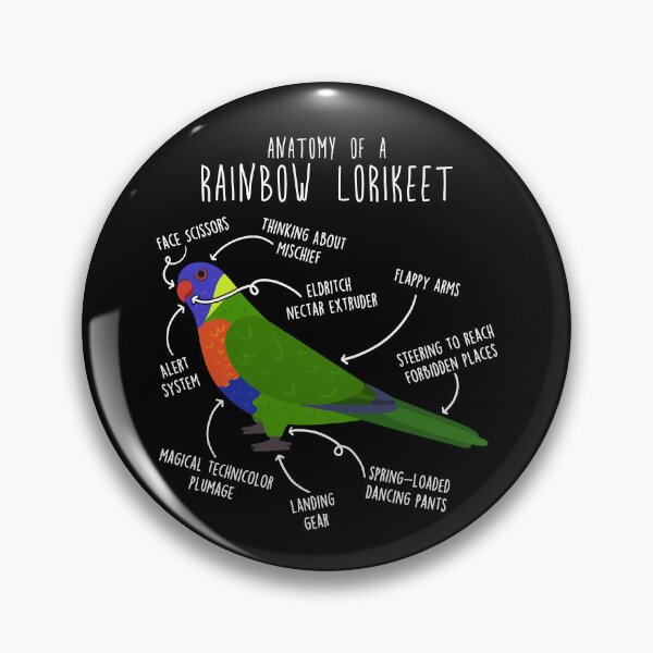 Item preview, Rainbow Lorikeet Parrot Anatomy designed and sold by Clara Hollins.
