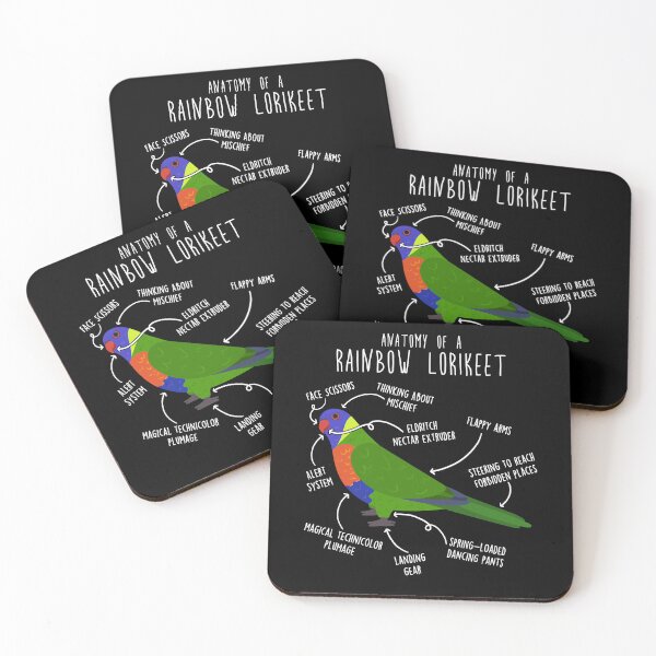 Item preview, Rainbow Lorikeet Parrot Anatomy designed and sold by Clara Hollins.