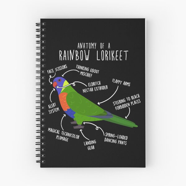 Item preview, Rainbow Lorikeet Parrot Anatomy designed and sold by Clara Hollins.