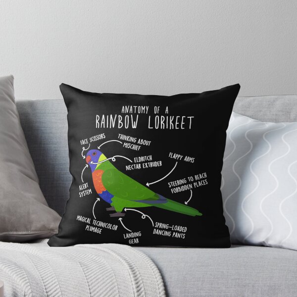 Item preview, Rainbow Lorikeet Parrot Anatomy designed and sold by Clara Hollins.