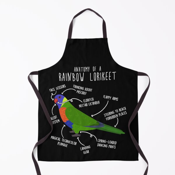 Item preview, Rainbow Lorikeet Parrot Anatomy designed and sold by Clara Hollins.