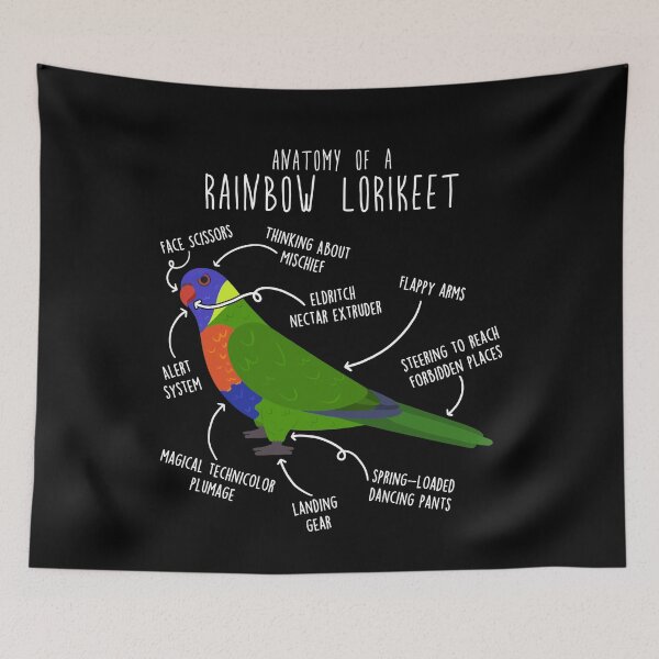 Item preview, Rainbow Lorikeet Parrot Anatomy designed and sold by Clara Hollins.