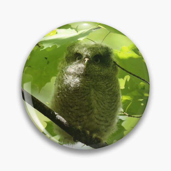Item preview, Screech owlet designed and sold by locustgirl.