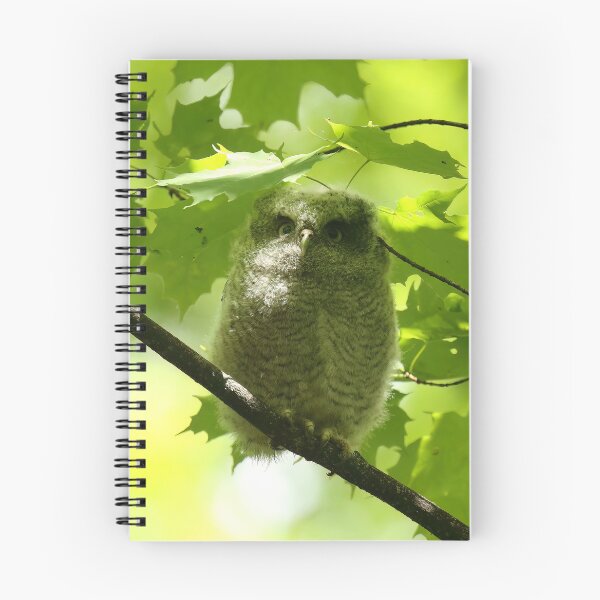Item preview, Screech owlet designed and sold by locustgirl.