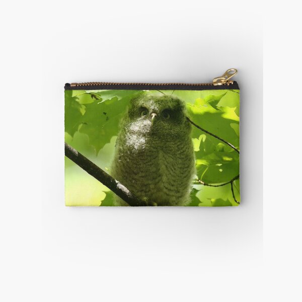Item preview, Screech owlet designed and sold by locustgirl.