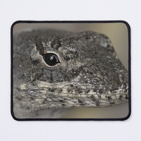 Item preview, Lizard Eye designed and sold by Jeffrey Mask.