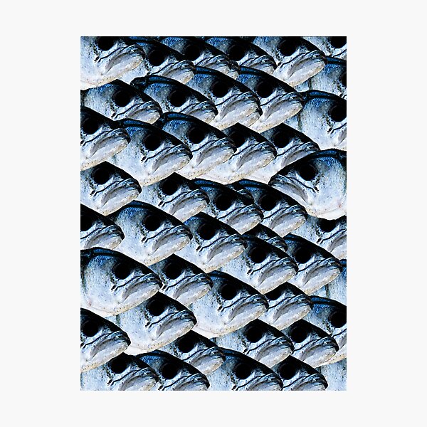 Item preview, Fish designed and sold by loosecannon.