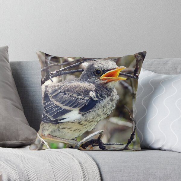 Item preview, Baby Mocking Bird designed and sold by Jeffrey Mask.