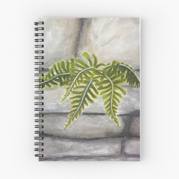 Item preview, Polypodium virginianum designed and sold by aydengrm.