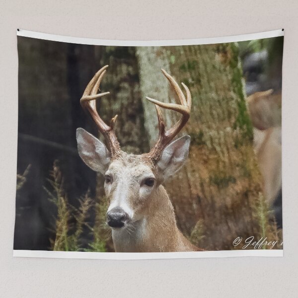 Item preview, White Faced Deer 1 designed and sold by Jeffrey Mask.
