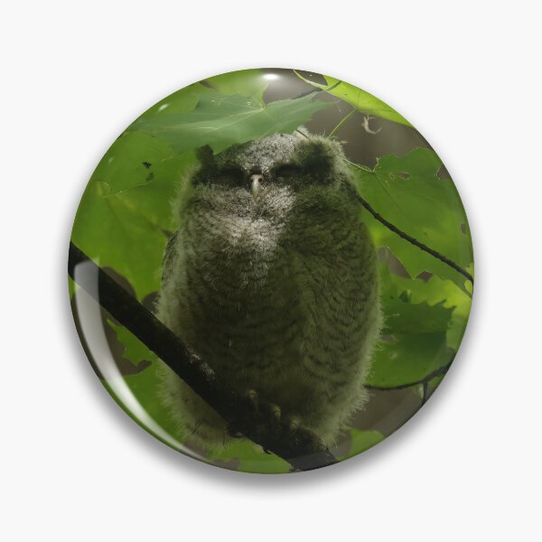 Item preview, Sleepy screech owlet designed and sold by locustgirl.