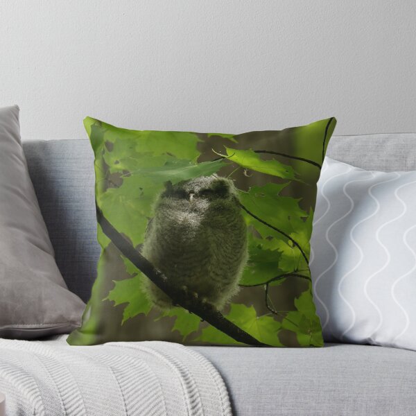 Item preview, Sleepy screech owlet designed and sold by locustgirl.