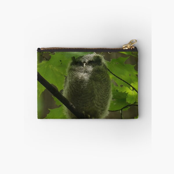 Item preview, Sleepy screech owlet designed and sold by locustgirl.