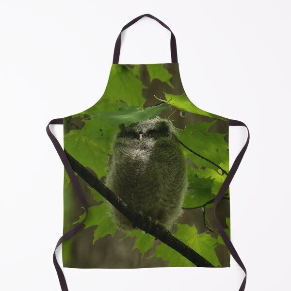 Item preview, Sleepy screech owlet designed and sold by locustgirl.