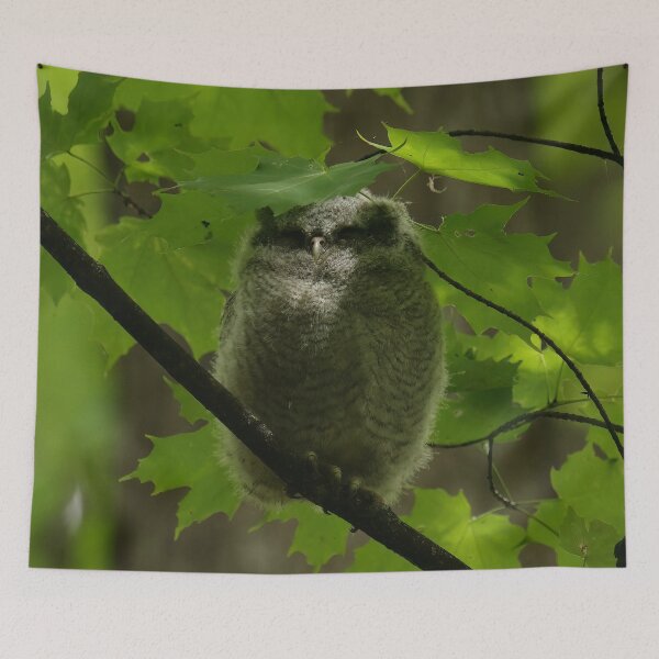 Item preview, Sleepy screech owlet designed and sold by locustgirl.