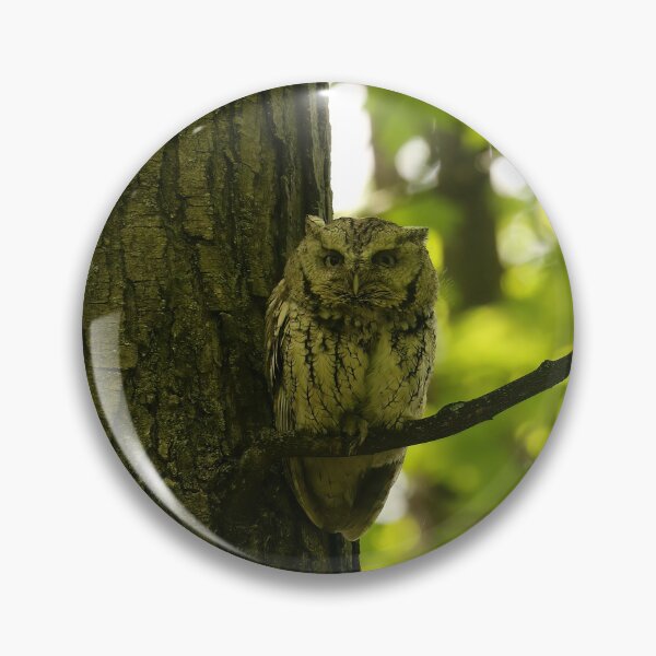 Item preview, Screech owl mom designed and sold by locustgirl.