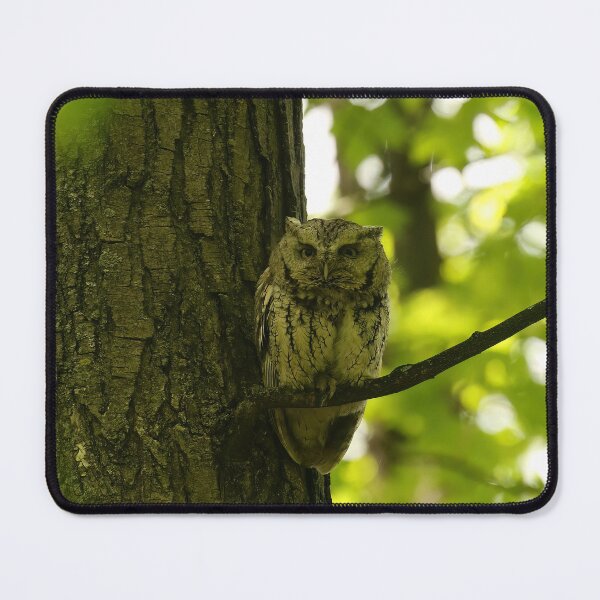 Item preview, Screech owl mom designed and sold by locustgirl.