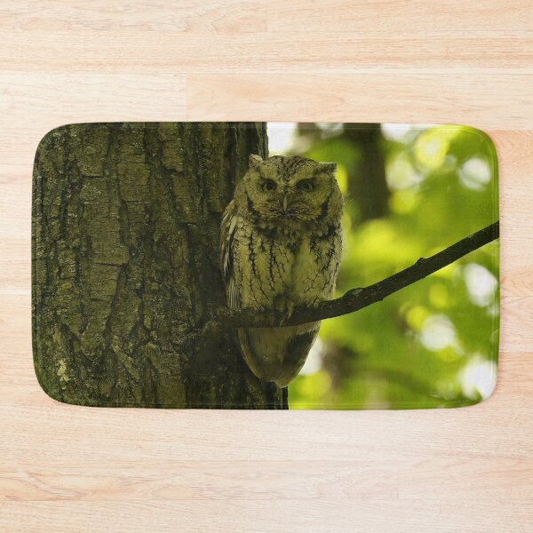 Item preview, Screech owl mom designed and sold by locustgirl.