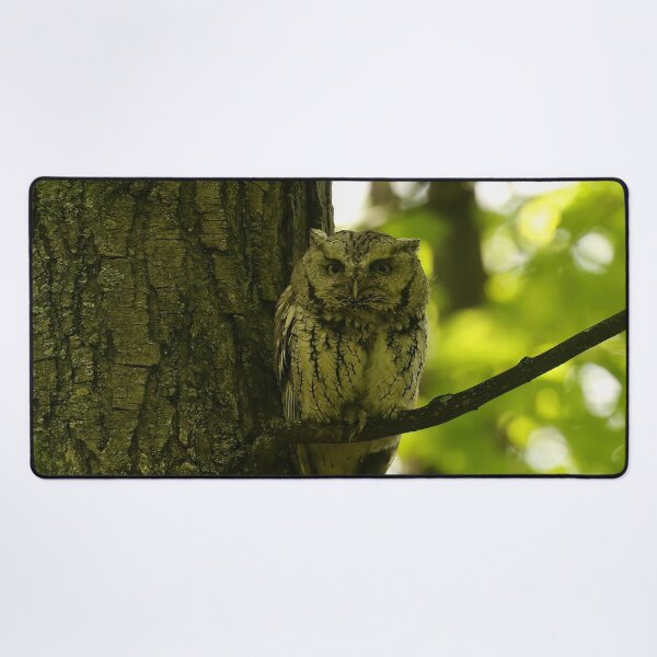 Item preview, Screech owl mom designed and sold by locustgirl.