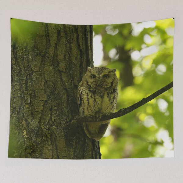 Item preview, Screech owl mom designed and sold by locustgirl.