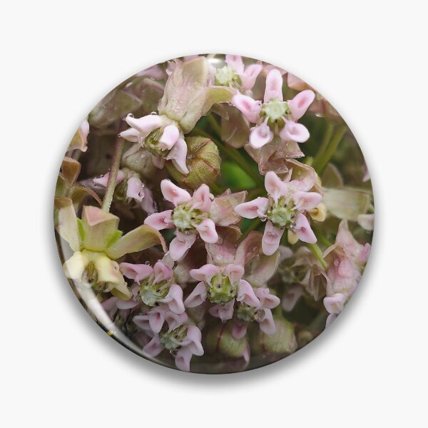 Item preview, Dripping and Drooping Milkweeds designed and sold by SCTBUFFALOPHOTO.