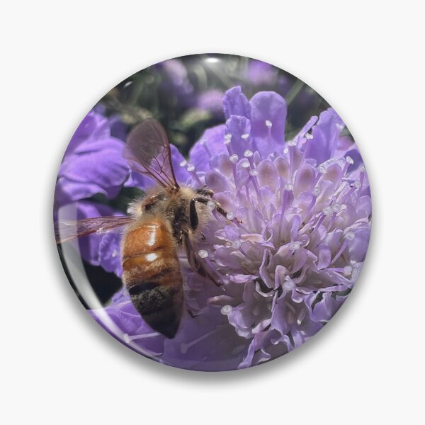 Item preview, Honey bee on a Pincushion Flower designed and sold by Betsy Phillips.