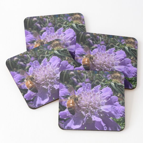 Item preview, Honey bee on a Pincushion Flower designed and sold by Betsy Phillips.