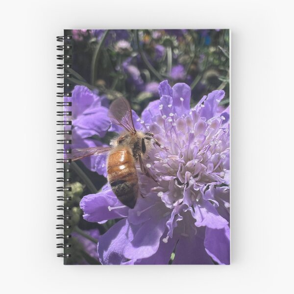 Item preview, Honey bee on a Pincushion Flower designed and sold by Betsy Phillips.