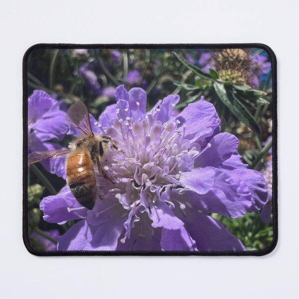 Item preview, Honey bee on a Pincushion Flower designed and sold by Betsy Phillips.