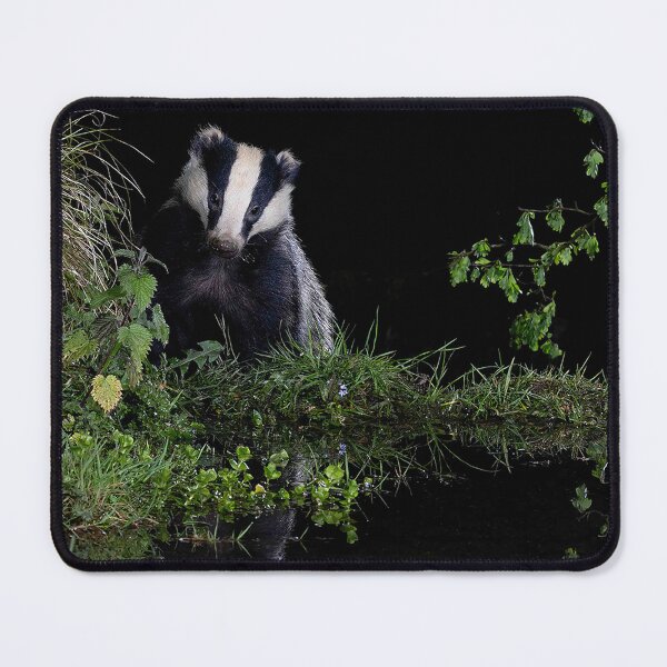 Item preview, Badger in the night garden designed and sold by Susan Purveur.
